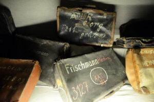 Holocaust memorial week newsletter