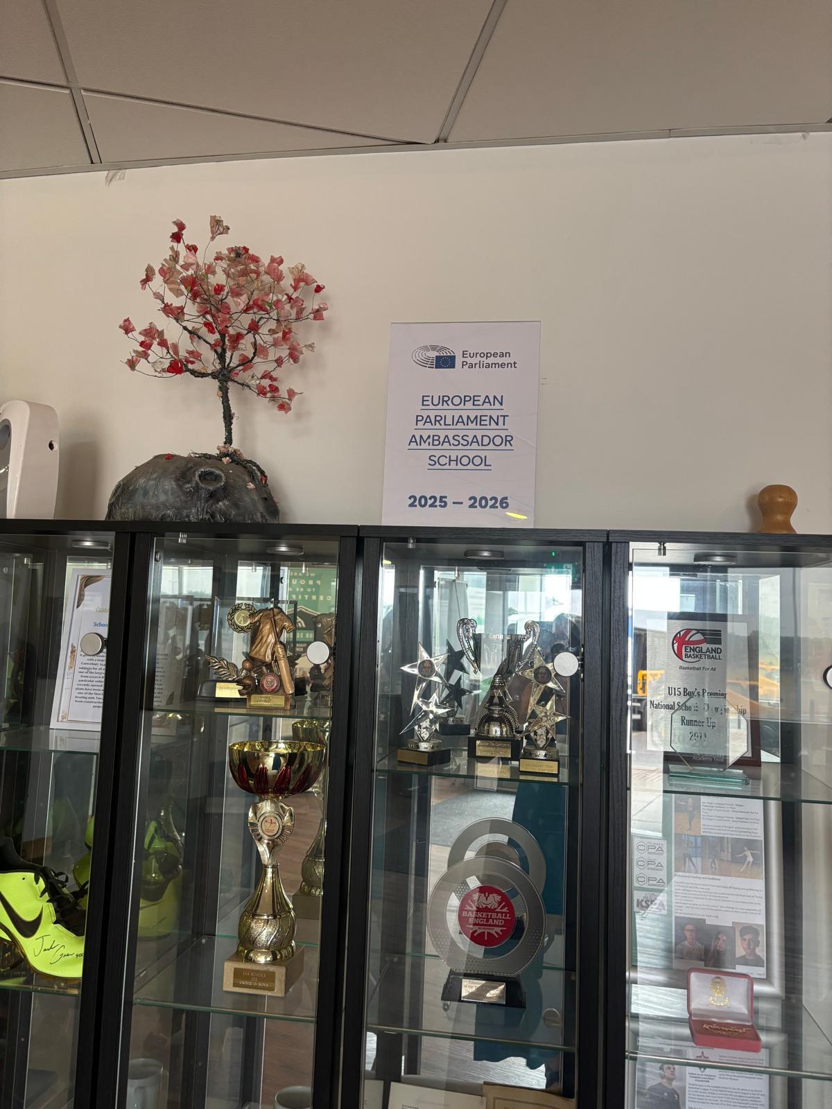 Promotion of accreditation as an EPAS school
